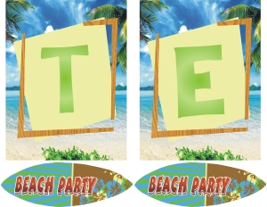 Teen Beach banner 1