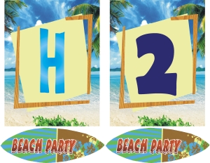 Teen Beach banner 5